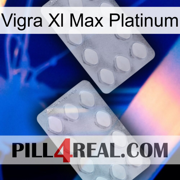 Vigra Xl Max Platinum 17.jpg